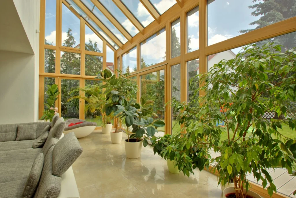 Glasanbau in Bruck innen mit Glasdach auf hellen Holzsparren, großen Zimmerpflanzen und grauem Sofa