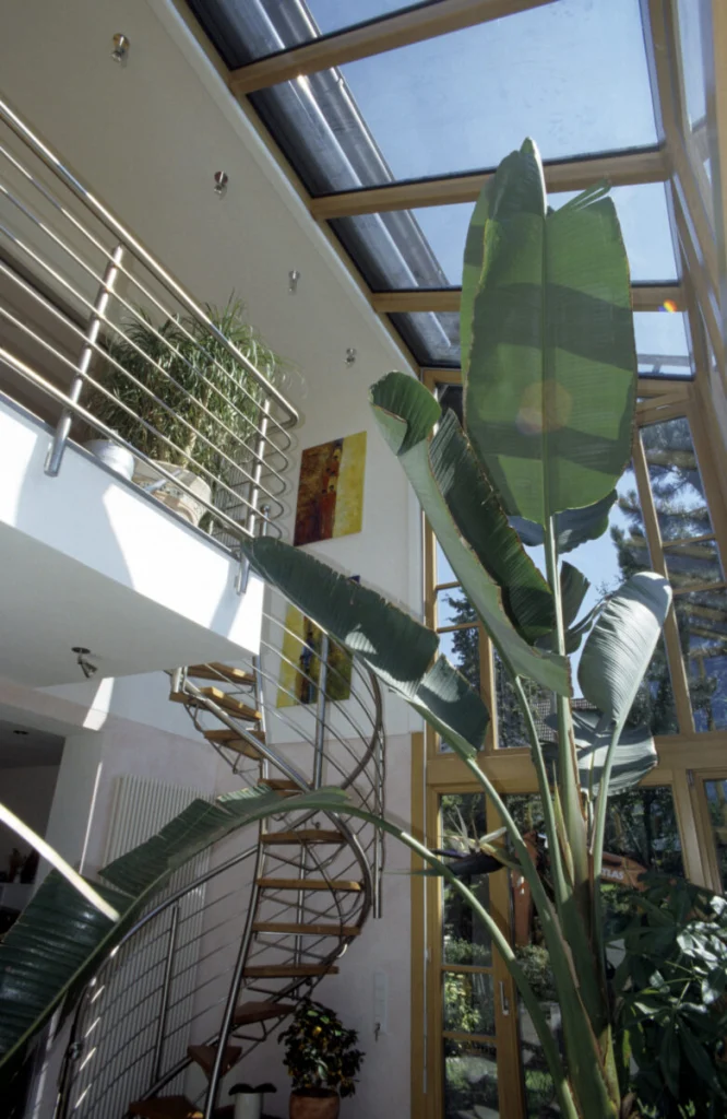 Zweigeschossiger Wintergarten in Bubenreuth von innen mit Wendeltreppe, Glasdach und Bananenstaude
